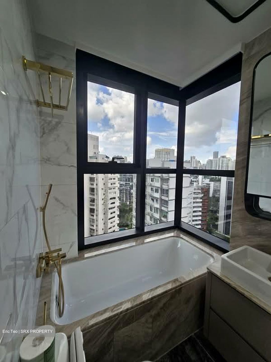 Perfect Ten (D10), Apartment #572674521